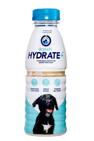 Hydrate Plus - Hund